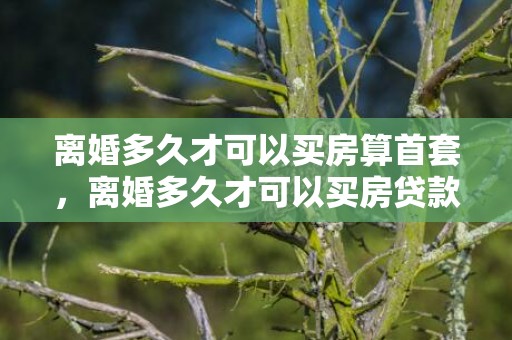 离婚多久才可以买房算首套，离婚多久才可以买房贷款呢