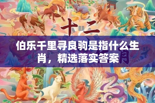 伯乐千里寻良驹是指什么生肖，精选落实答案