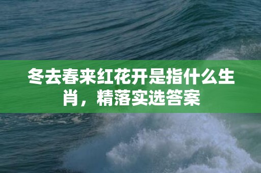 冬去春来红花开是指什么生肖，精落实选答案