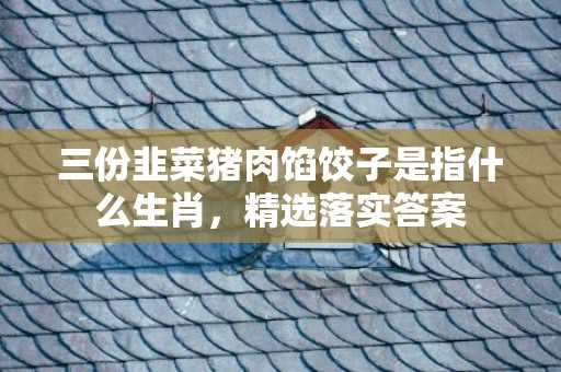三份韭菜猪肉馅饺子是指什么生肖，精选落实答案