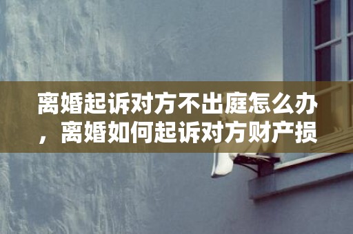 离婚起诉对方不出庭怎么办，离婚如何起诉对方财产损失