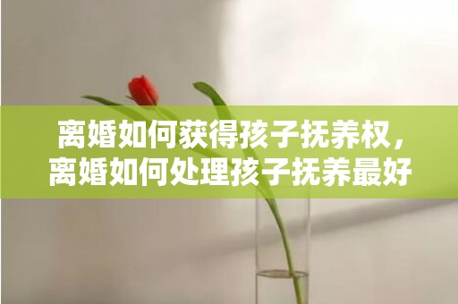 离婚如何获得孩子抚养权，离婚如何处理孩子抚养最好