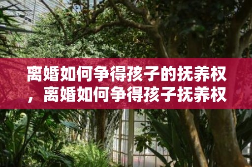 离婚如何争得孩子的抚养权，离婚如何争得孩子抚养权