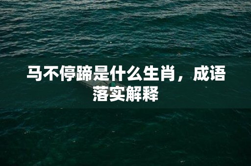 马不停蹄是什么生肖，成语落实解释