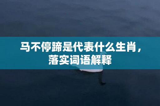 马不停蹄是代表什么生肖，落实词语解释