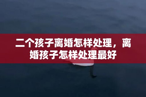 二个孩子离婚怎样处理，离婚孩子怎样处理最好