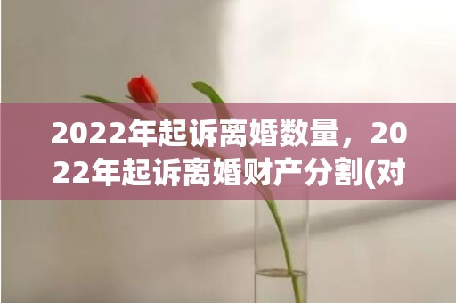 2022年起诉离婚数量，2022年起诉离婚财产分割(对方失踪起诉离婚)
