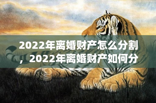 2022年离婚财产怎么分割，2022年离婚财产如何分割房子孩子(离婚财产如何分割房子孩子19岁了)
