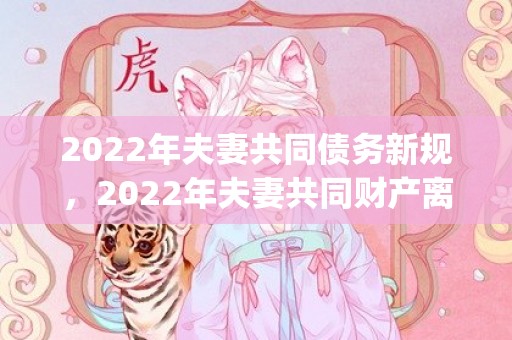 2022年夫妻共同债务新规，2022年夫妻共同财产离婚如何分配(夫妻共同财产离婚如何分配贷款房子)