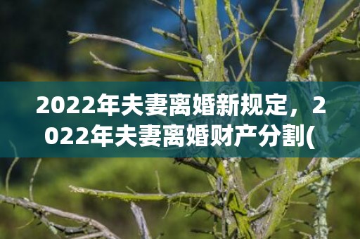 2022年夫妻离婚新规定，2022年夫妻离婚财产分割(夫妻离婚财产分割怎么分)