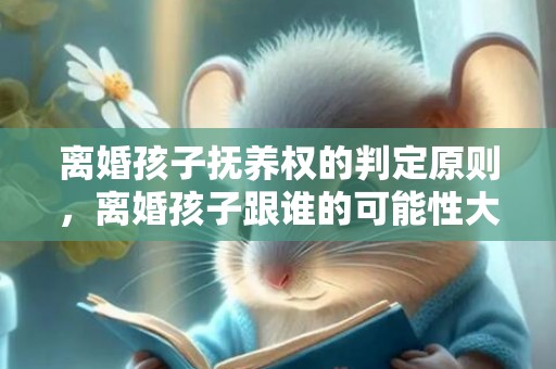 离婚孩子抚养权的判定原则，离婚孩子跟谁的可能性大