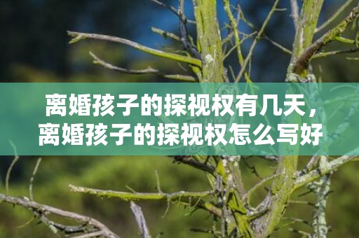 离婚孩子的探视权有几天，离婚孩子的探视权怎么写好