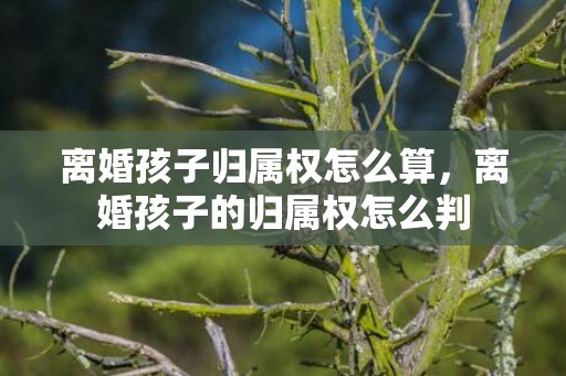 离婚孩子归属权怎么算，离婚孩子的归属权怎么判