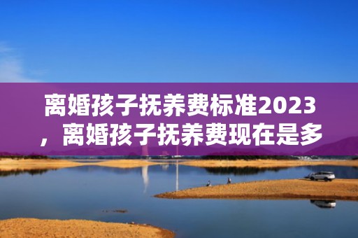 离婚孩子抚养费标准2023，离婚孩子抚养费现在是多少