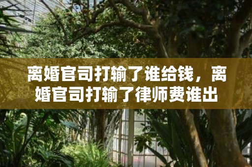 离婚官司打输了谁给钱，离婚官司打输了律师费谁出