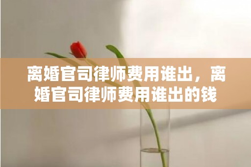离婚官司律师费用谁出，离婚官司律师费用谁出的钱