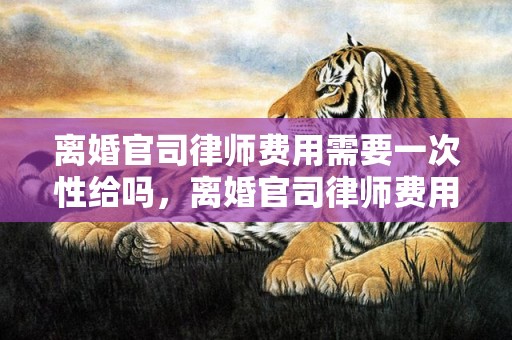 离婚官司律师费用需要一次性给吗，离婚官司律师费用谁出的啊