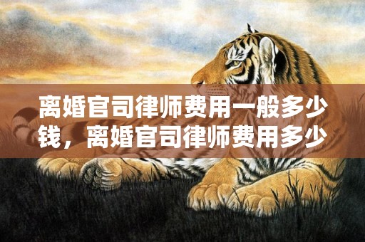 离婚官司律师费用一般多少钱，离婚官司律师费用多少钱