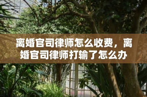 离婚官司律师怎么收费，离婚官司律师打输了怎么办