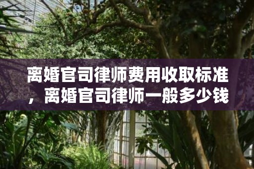 离婚官司律师费用收取标准，离婚官司律师一般多少钱