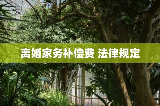 离婚家务补偿费 法律规定