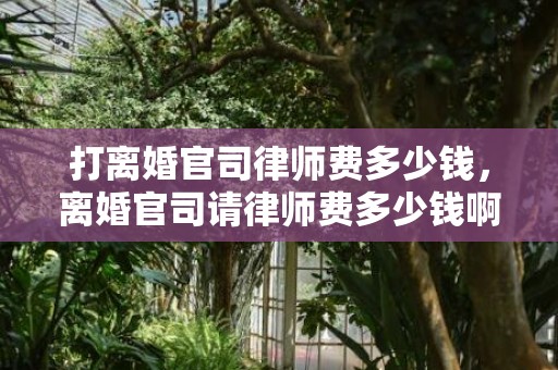 打离婚官司律师费多少钱，离婚官司请律师费多少钱啊