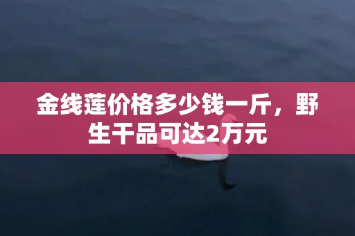 金线莲价格多少钱一斤，野生干品可达2万元