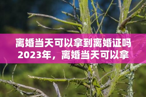 离婚当天可以拿到离婚证吗2023年，离婚当天可以拿到证吗