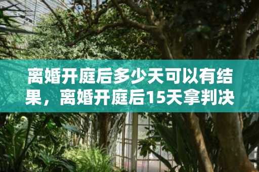 离婚开庭后多少天可以有结果，离婚开庭后15天拿判决书吗