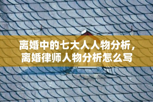 离婚中的七大人人物分析，离婚律师人物分析怎么写