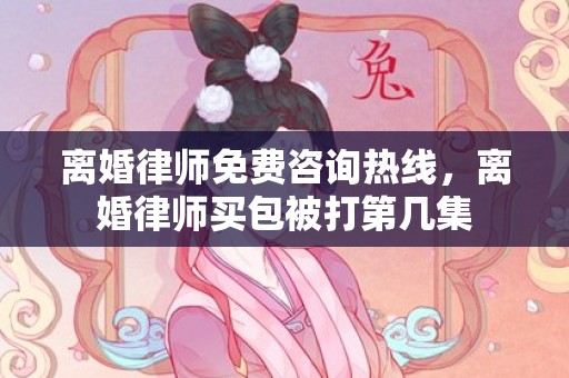 离婚律师免费咨询热线，离婚律师买包被打第几集