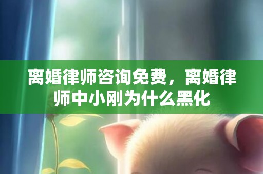 离婚律师咨询免费，离婚律师中小刚为什么黑化