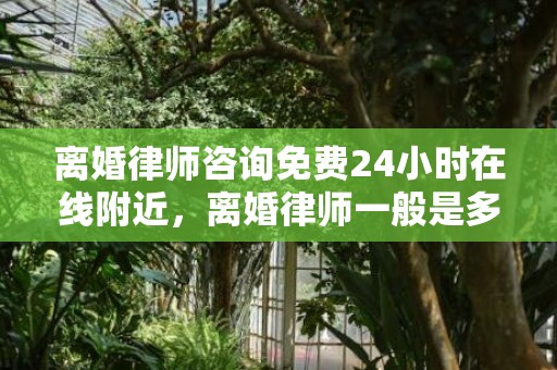 离婚律师咨询免费24小时在线附近，离婚律师一般是多少钱一次