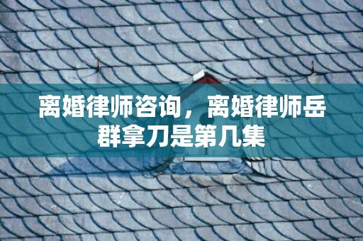离婚律师咨询，离婚律师岳群拿刀是第几集