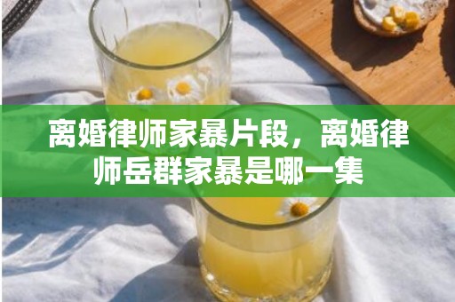 离婚律师家暴片段，离婚律师岳群家暴是哪一集
