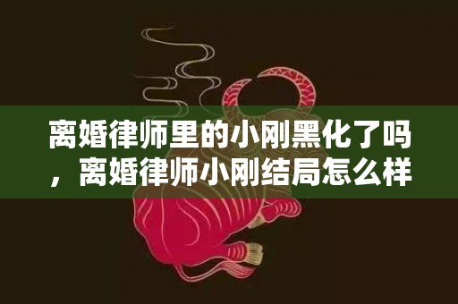 离婚律师里的小刚黑化了吗，离婚律师小刚结局怎么样了