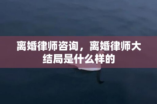 离婚律师咨询，离婚律师大结局是什么样的