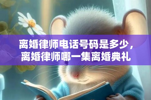 离婚律师电话号码是多少，离婚律师哪一集离婚典礼