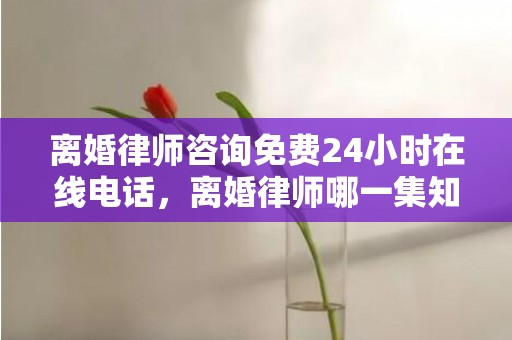 离婚律师咨询免费24小时在线电话，离婚律师哪一集知道真相了