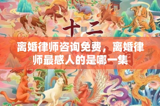 离婚律师咨询免费，离婚律师最感人的是哪一集