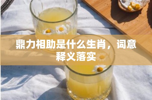 鼎力相助是什么生肖，词意释义落实