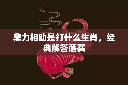 鼎力相助是打什么生肖，经典解答落实