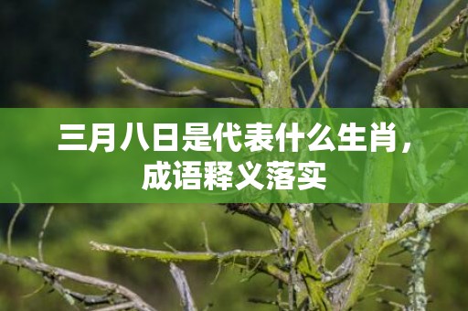三月八日是代表什么生肖，成语释义落实