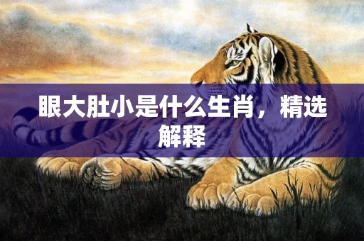 眼大肚小是什么生肖，精选解释