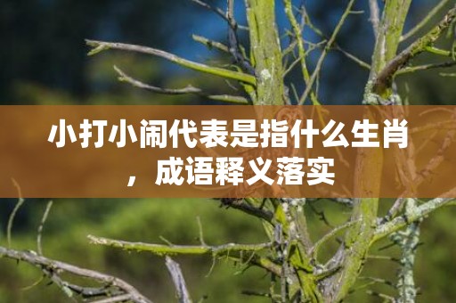 小打小闹代表是指什么生肖，成语释义落实