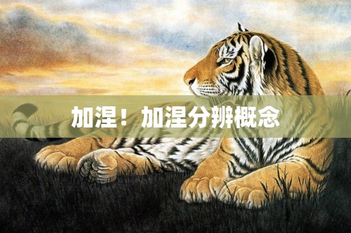加涅！加涅分辨概念