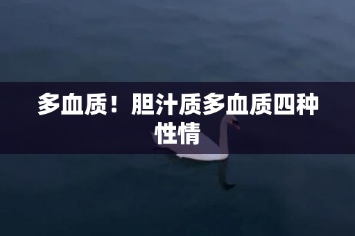 多血质！胆汁质多血质四种性情
