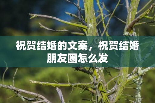 祝贺结婚的文案，祝贺结婚朋友圈怎么发