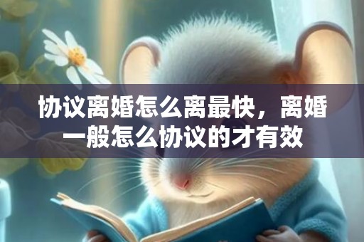 协议离婚怎么离最快，离婚一般怎么协议的才有效