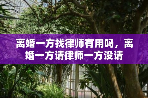 离婚一方找律师有用吗，离婚一方请律师一方没请